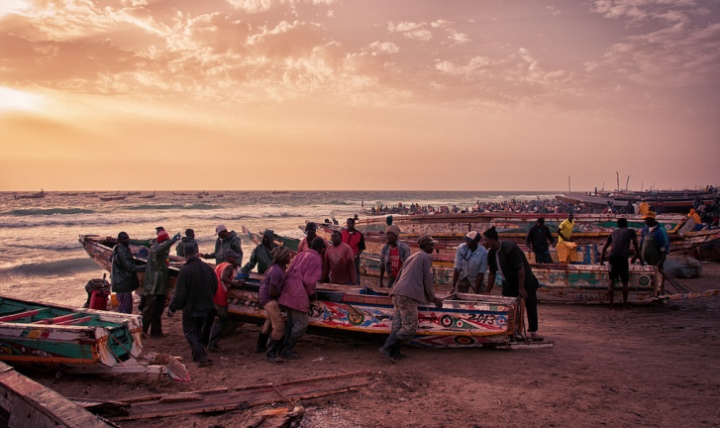 Fieldwork in Mauritania